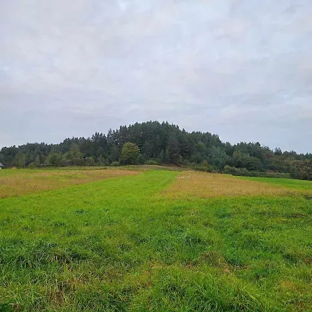 Domek U Golabkow Bieszczady Lesko Exterior photo