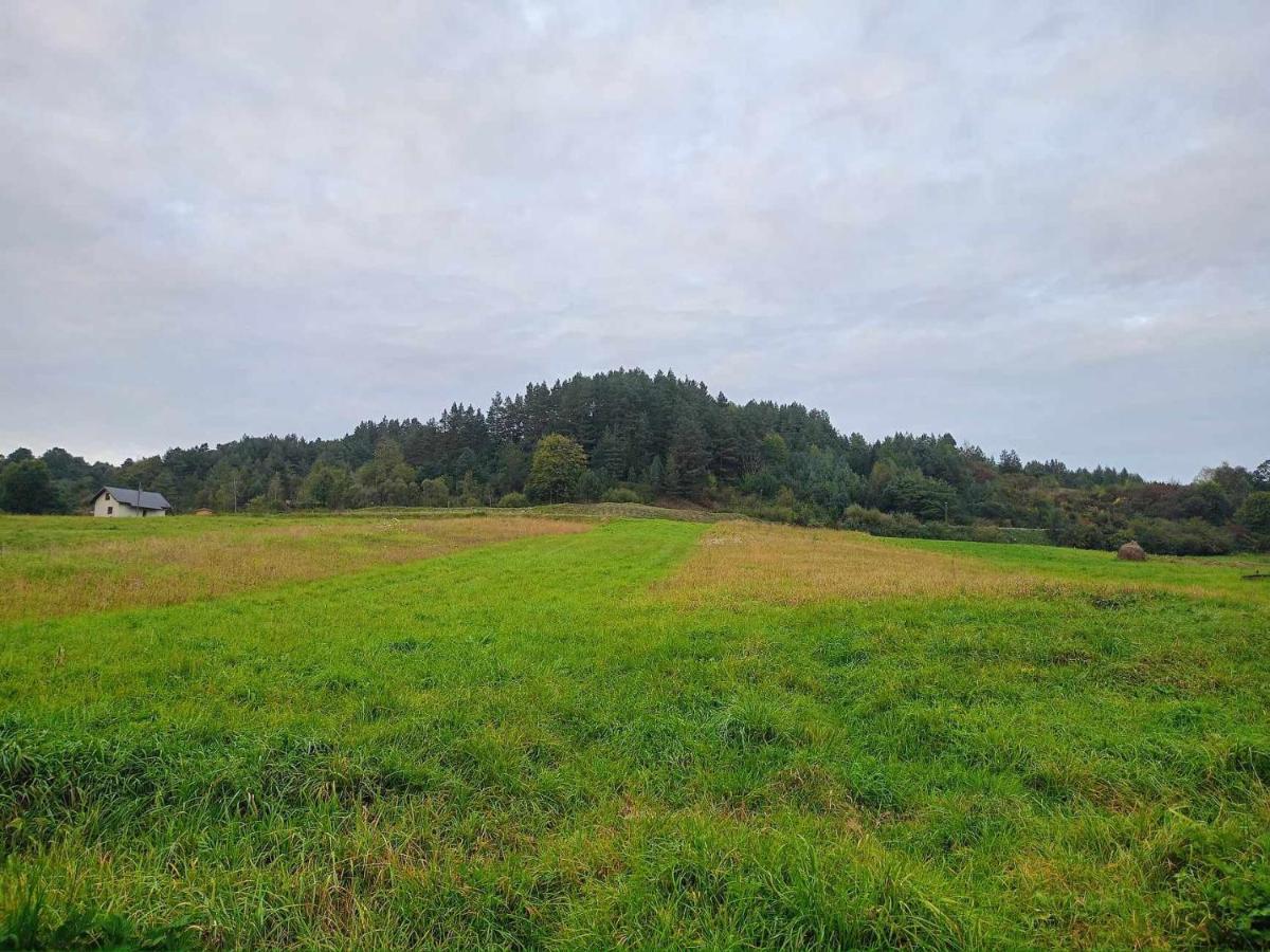 Holiday home U Golabkow Bieszczady *